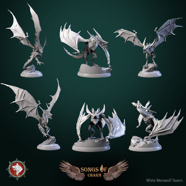 Wyvern Bundle